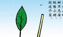 有关植树节的作文800字汇总9篇