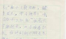 过春节 我的期盼作文500字