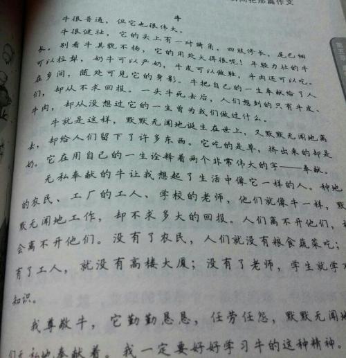 有关唯美的优美段落