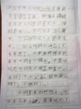 毛绒小狗 我心爱的玩具300字作文