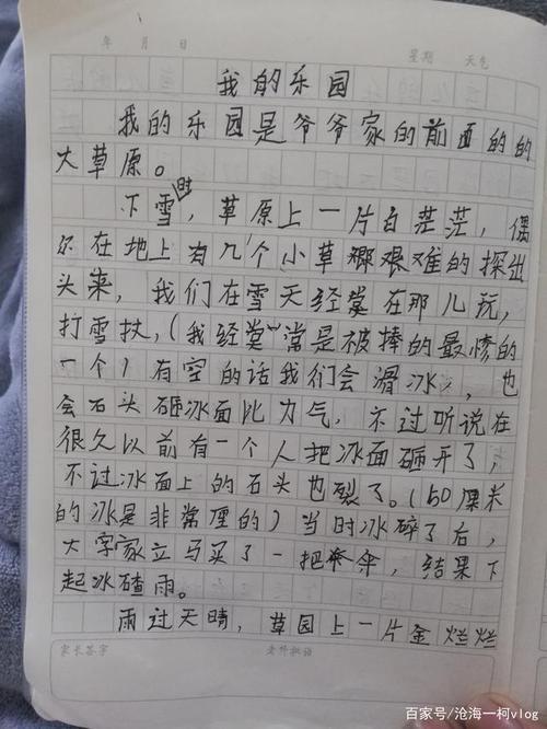 在家上网课的日子-优秀写事作文350字