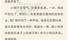 狗 一条好狗400字作文