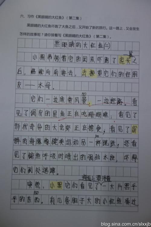 黑眼睛的大红鱼 小学生想象作文600字