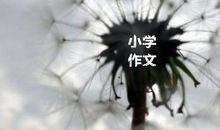 《盼望着像鸟儿一样飞翔》令人惊讶的一篇小学六年级作文