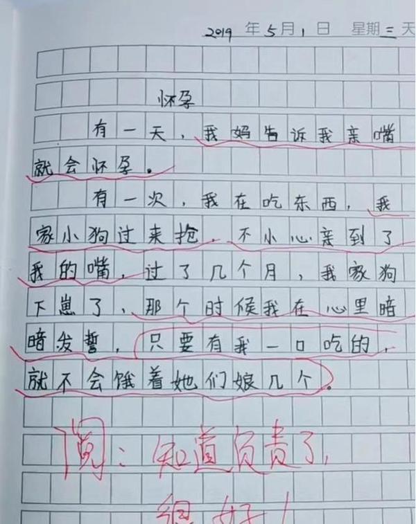 小学生作文《怀孕》火遍全网！网友：没文化太可怕了