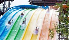 暑假日记大全300字