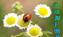 超级实用！作文细节描写之人物细节描写