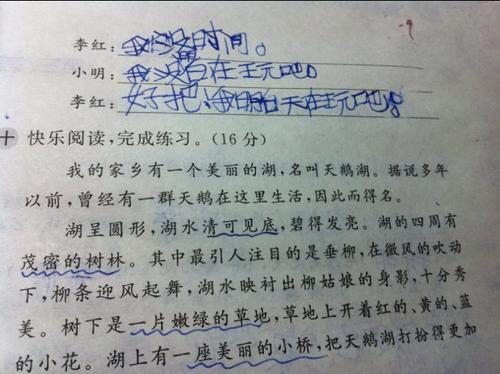 暑假中一次有趣的活儿-拔花生作文600字