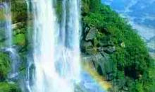 独观飞瀑-瀑布作文450字