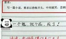 小学生一篇作文只写“9个字”，老师看完后给100分，网友直呼有才