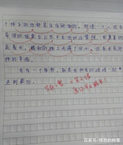 小学生作文深情表白李易峰,老师14字神点评,彰显智慧令人赞叹 2