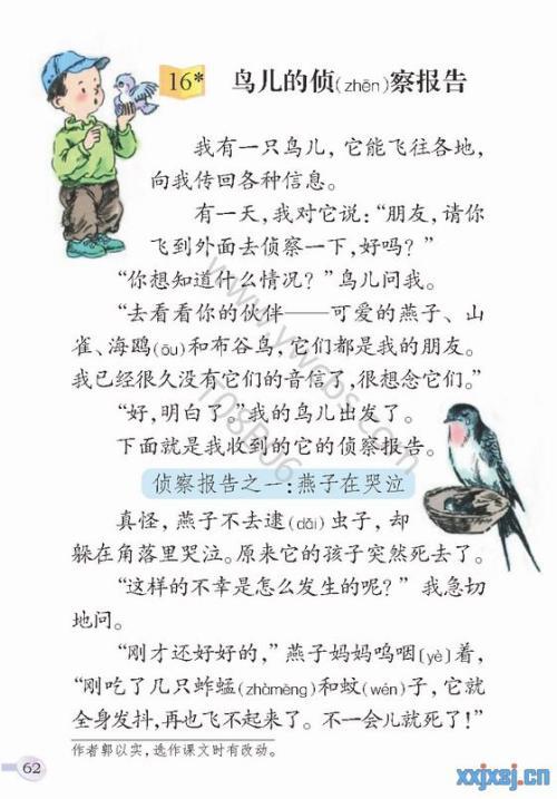 给鸟儿一个家 三年级爱护小鸟作文300字