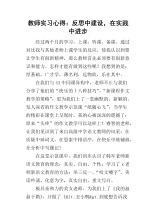 自我实践与反思实习心得体会