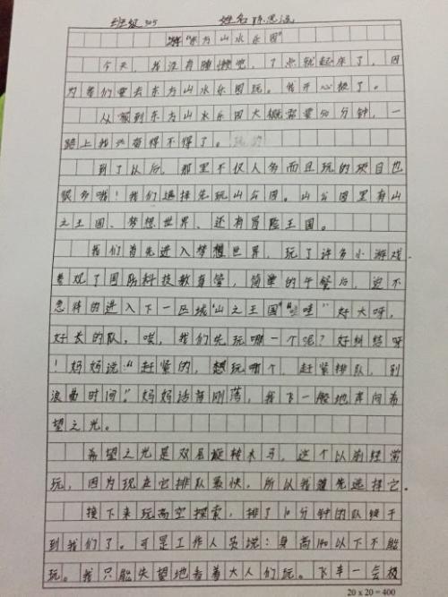 这家伙-写人的作文300字