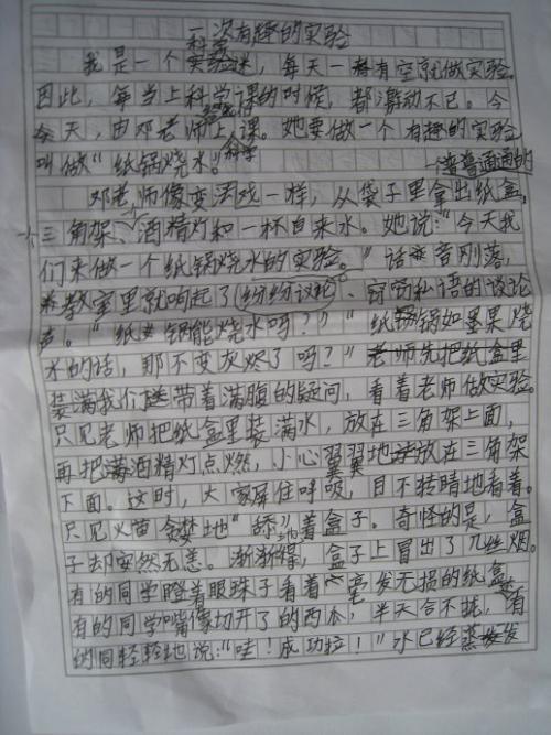 一次有趣的野炊 一次有趣的集体活动400字作文