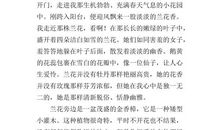 四年级写一处景物的作文400字