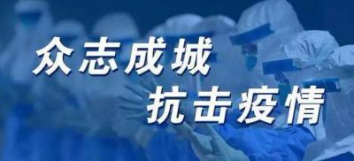 艰难的日子 众志成城抗击疫情作文800字