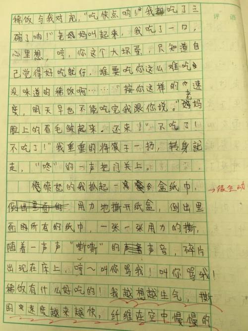 我与小虾童年趣事作文900字作文