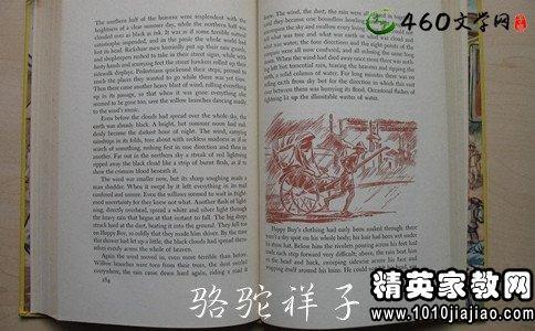 《骆驼祥子》初中读后感1500字