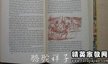 《骆驼祥子》初中读后感1500字