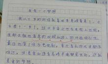 小学生作文深情表白李易峰，老师14字神点评，彰显智慧令人赞叹