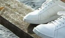 情寄原野边，难抒少年心 草房子读后感1100字