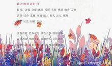 小学生福利！作文写作素材好词、好句、好段汇总