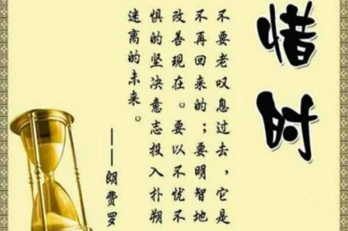 珍惜世间的美好_900字