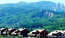 初二优秀作文：乡情