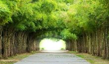 提高| 高考作文素材快速积累秘籍