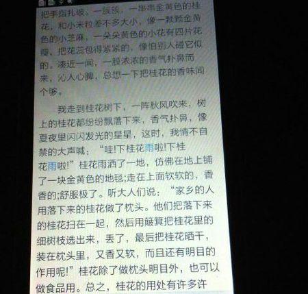 关于秋分的作文：走进秋天_450字