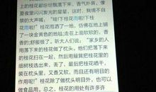 关于秋分的作文：走进秋天_450字
