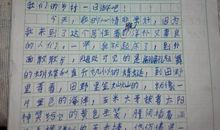 兴趣-小学记叙文400字