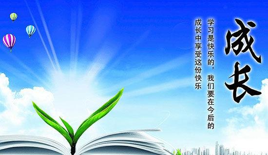 《迷恋人的成长》的读书笔记