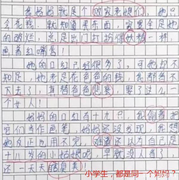 小学生一篇作文只写“9个字”,老师看完后给100分,网友直呼有才 6