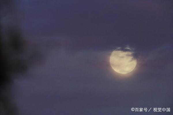 中秋节随笔作文:我期待的中秋