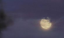 中秋节随笔作文：我期待的中秋