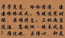 名人故事：寻寻觅觅之李清照_3000字