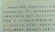 观《锦园路小学宣传片》有感 小学生观后感作文500字