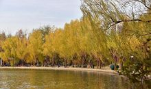 秋天随笔作文：秋风