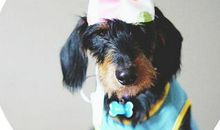 【高中@作文】延安中学校内测试作文题以及教师下水文