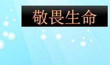 小学生敬畏生命作文400字