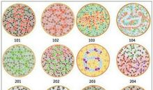 白色盲 哲理故事一则500字