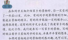 写一处景物美丽的校园作文400字