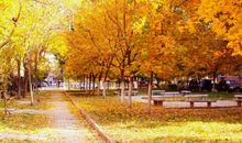 关于秋天的作文：秋天之美_900字