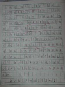关于秋分的作文：这儿的秋天真美_300字