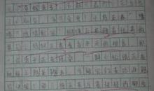 关于秋分的作文：这儿的秋天真美_300字