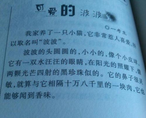我与灵灵 我的宠物狗700字作文