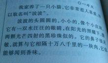 我与灵灵 我的宠物狗700字作文