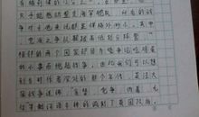 初一叙事作文：第一次炒菜_600字